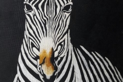 VIAGGIO IN AFRICA (Zebra) Olio su tela - cm. 60x80